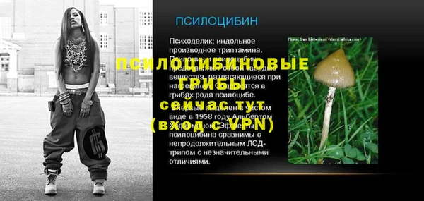 дмт Лиски