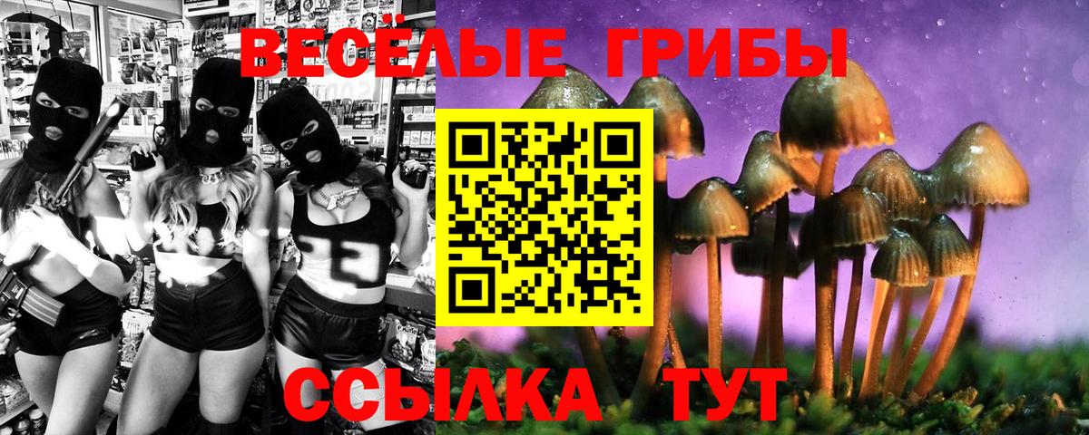 Псилоцибиновые грибы MAGIC MUSHROOMS Копейск