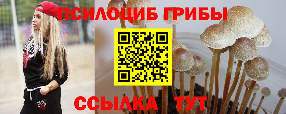 Копейск  купить закладку  Вход с VPN  Галлюциногенные грибы Psilocybe 