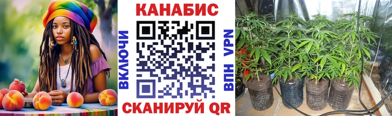 ссылка на мегу ссылка  что такое   Копейск  МАРИХУАНА сатива 